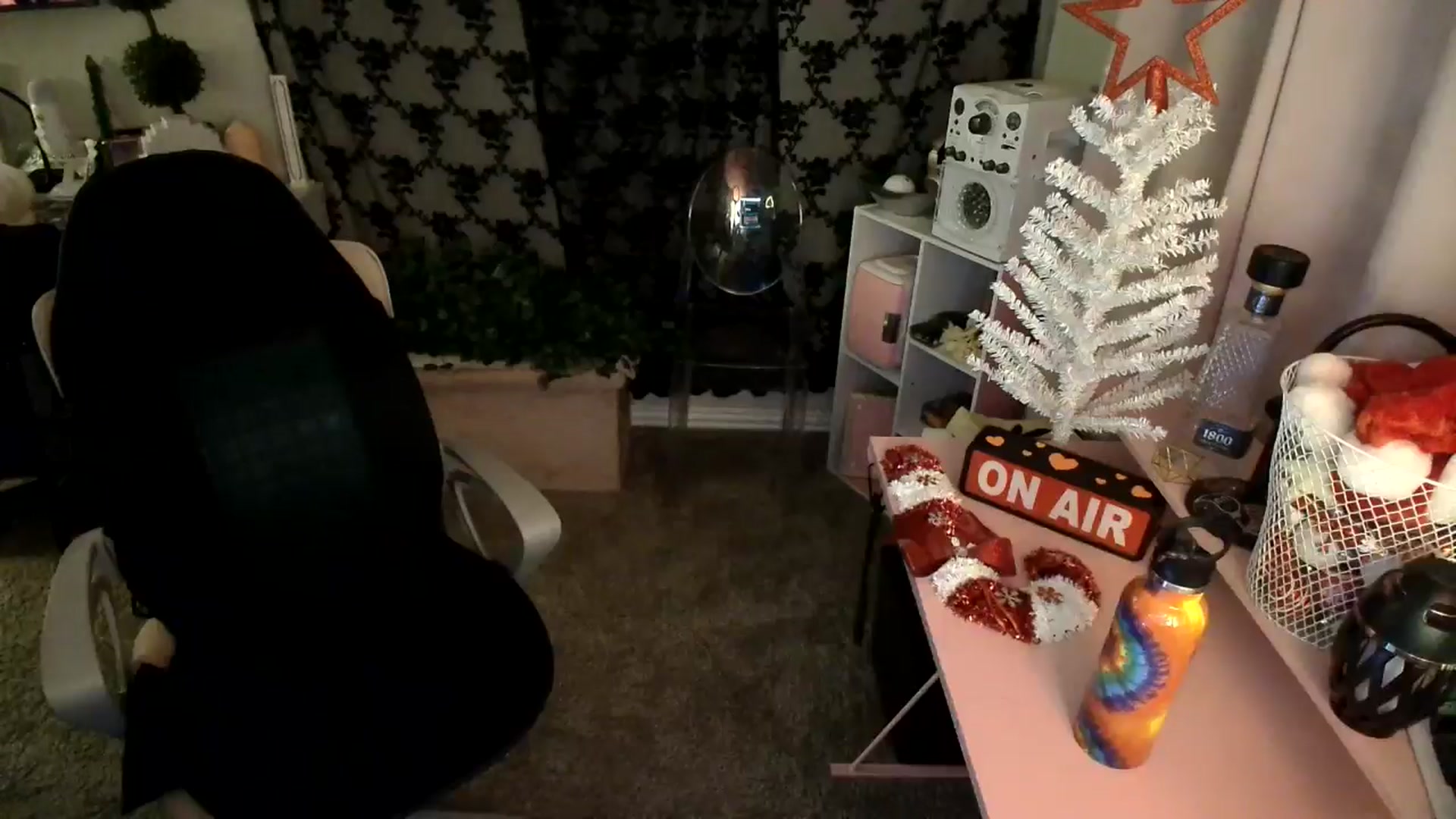 Gallery image thumbnail from HeidiKlumsy's myfreecams stream on, 12/03/2024, 05:02 image 10 of 20