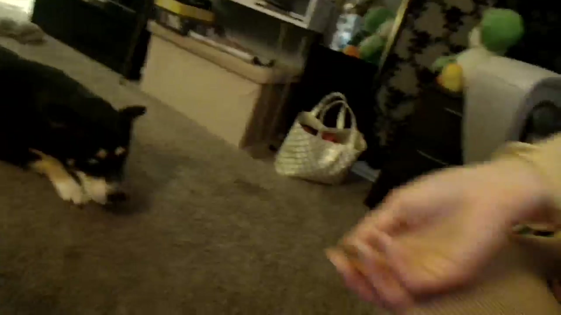Gallery image thumbnail from HeidiKlumsy's myfreecams stream on, 02/05/2025, 07:53 image 7 of 20