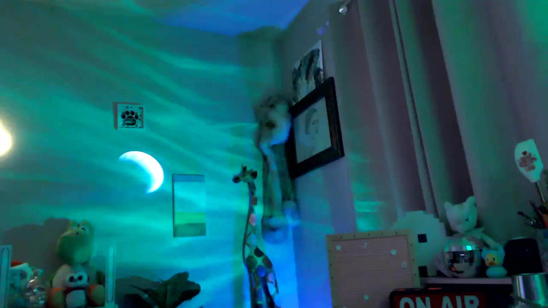 Gallery image thumbnail from HeidiKlumsy's myfreecams stream on, 06/25/2025, 23:54 image 19 of 20