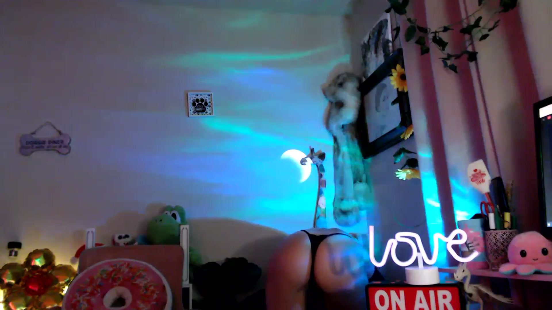 Gallery image thumbnail from HeidiKlumsy's myfreecams stream on, 09/03/2025, 23:48 image 12 of 20