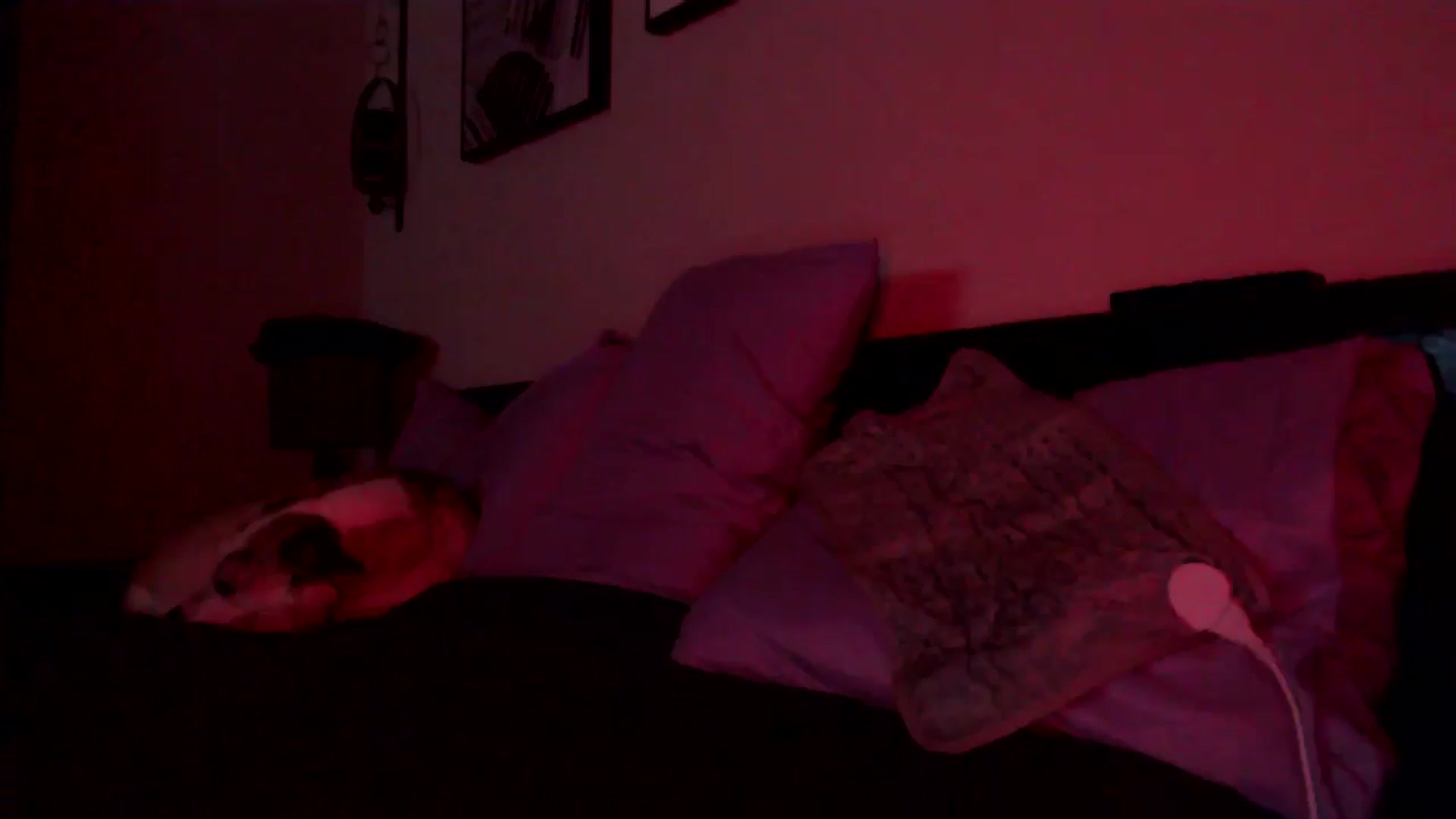 Gallery image thumbnail from HeidiKlumsy's myfreecams stream on, 09/25/2025, 05:33 image 16 of 20