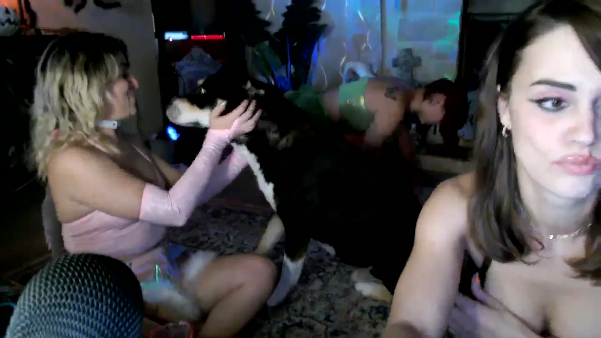 Gallery image thumbnail from HeidiKlumsy's myfreecams stream on, 10/17/2025, 08:58 image 6 of 20
