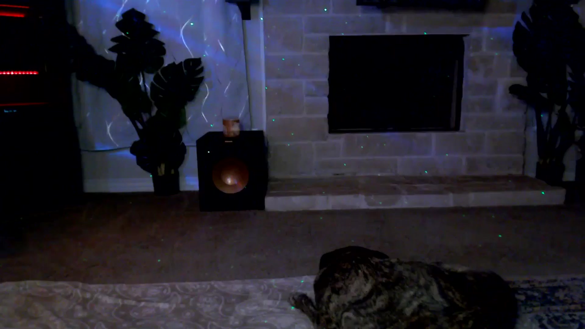 Gallery image thumbnail from HeidiKlumsy's myfreecams stream on, 11/06/2025, 03:24 image 18 of 20