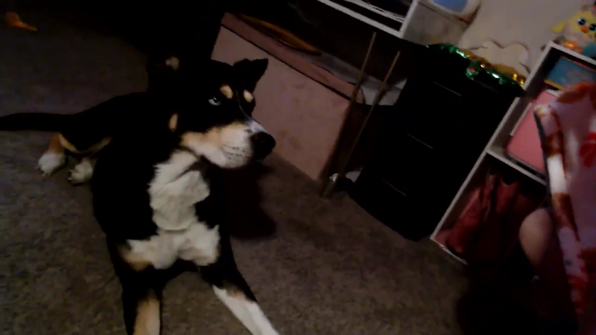 Gallery image thumbnail from HeidiKlumsy's myfreecams stream on, 11/10/2025, 02:13 image 20 of 20