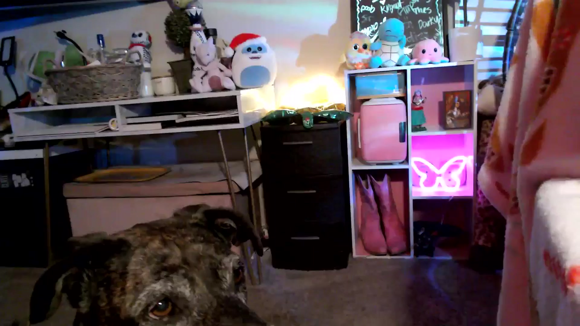 Gallery image thumbnail from HeidiKlumsy's myfreecams stream on, 11/10/2025, 04:27 image 19 of 20