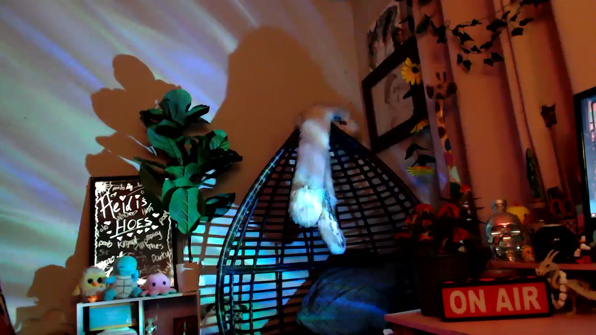 Gallery image thumbnail from HeidiKlumsy's myfreecams stream on, 11/10/2025, 04:27 image 2 of 20