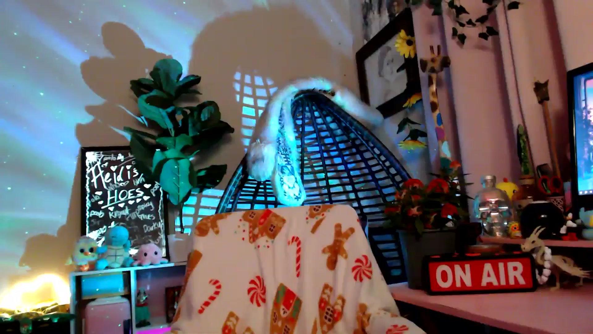 Gallery image thumbnail from HeidiKlumsy's myfreecams stream on, 11/10/2025, 04:27 image 18 of 20