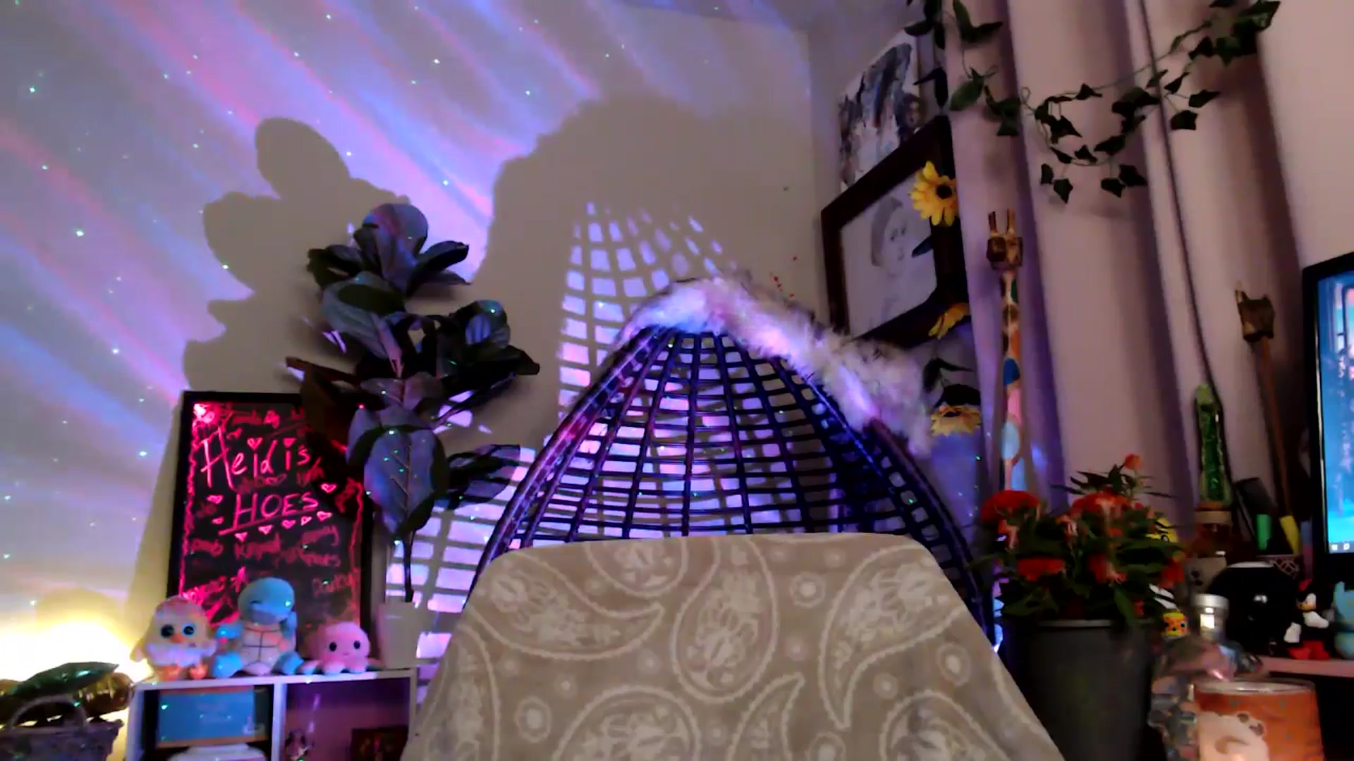 Gallery image thumbnail from HeidiKlumsy's myfreecams stream on, 11/11/2025, 07:19 image 3 of 20