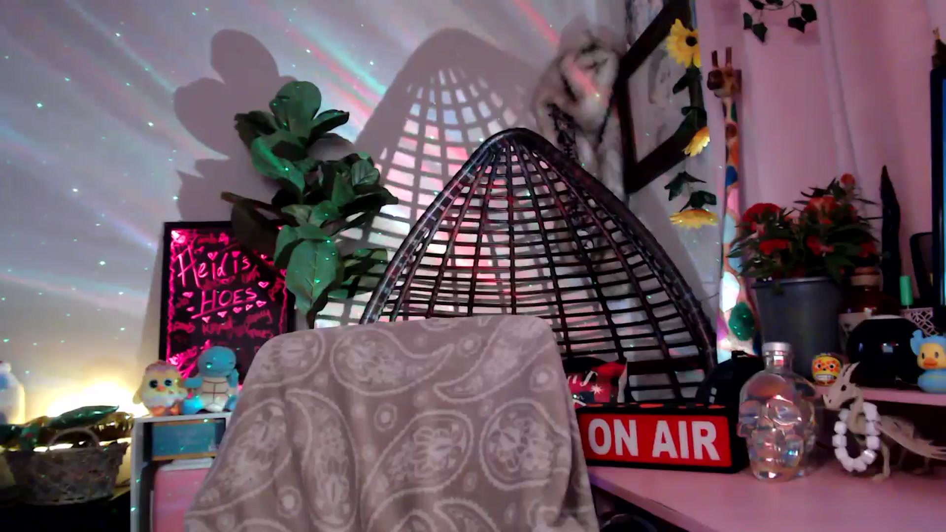 Gallery image thumbnail from HeidiKlumsy's myfreecams stream on, 11/11/2025, 21:09 image 7 of 20