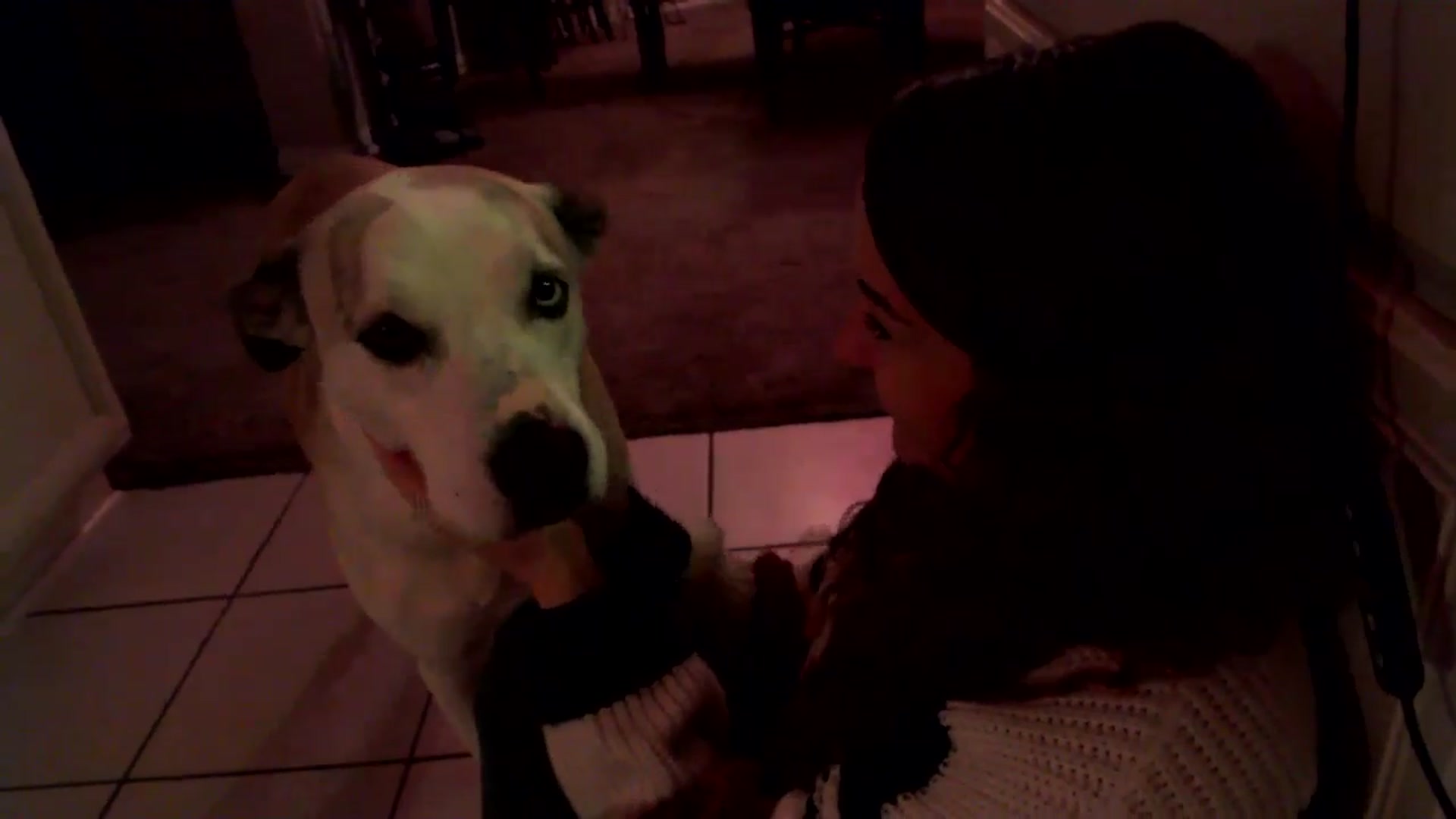Gallery image thumbnail from HeidiKlumsy's myfreecams stream on, 11/15/2025, 02:34 image 9 of 20