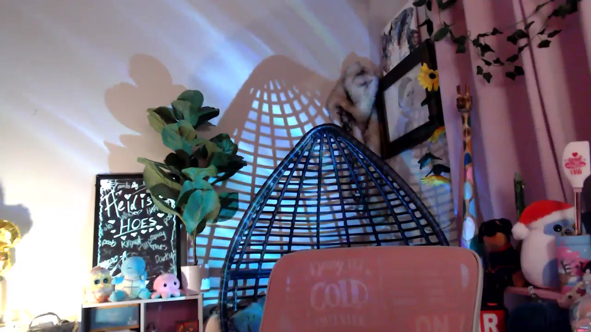Gallery image thumbnail from HeidiKlumsy's myfreecams stream on, 11/21/2025, 01:01 image 10 of 20