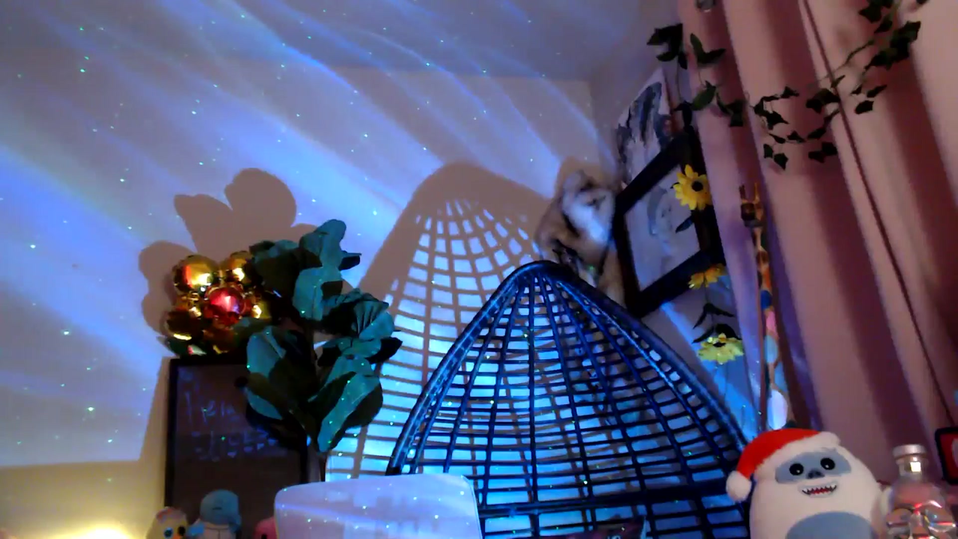 Gallery image thumbnail from HeidiKlumsy's myfreecams stream on, 11/26/2025, 03:54 image 4 of 20