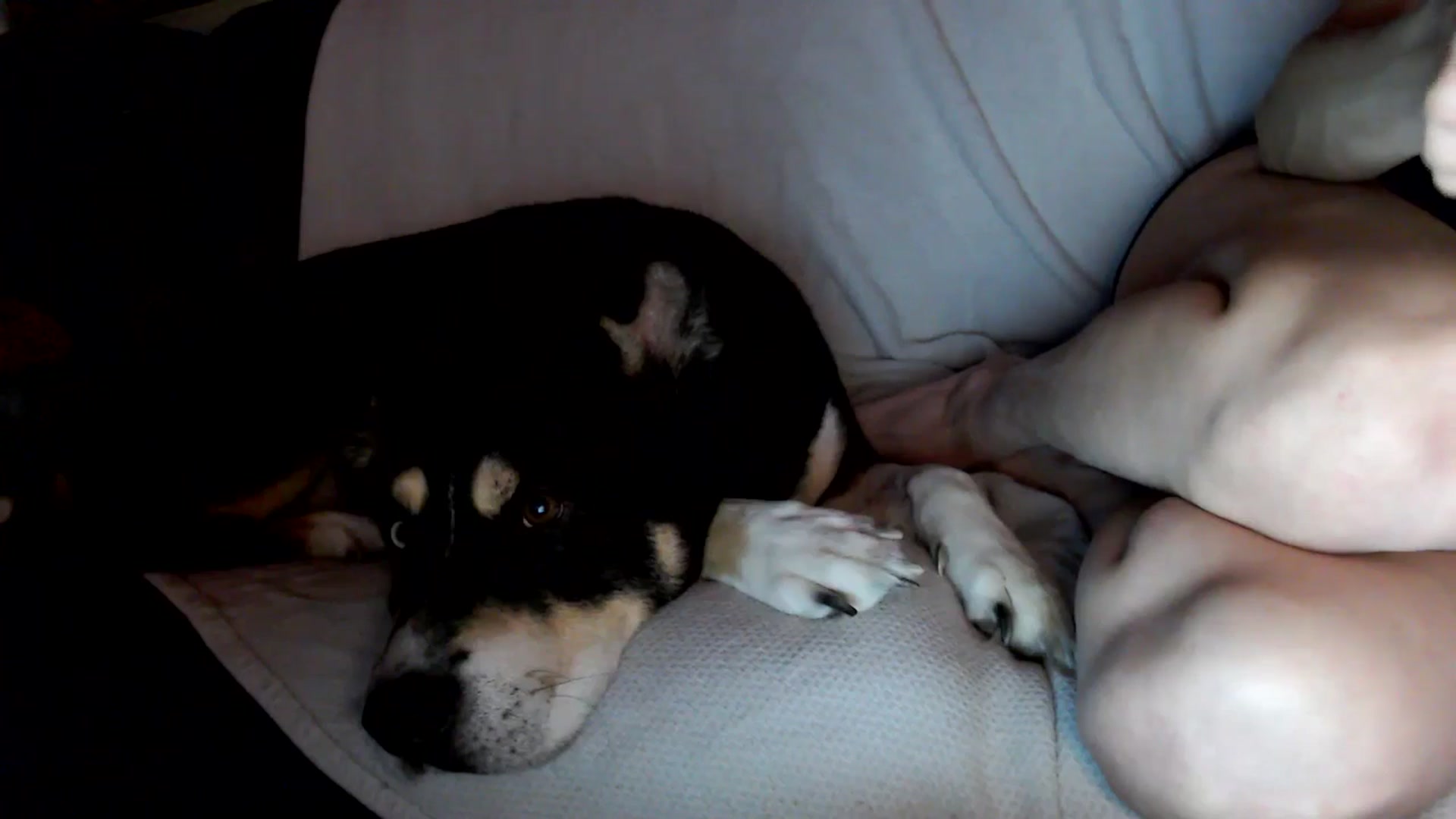 Gallery image thumbnail from HeidiKlumsy's myfreecams stream on, 12/21/2025, 03:00 image 19 of 20