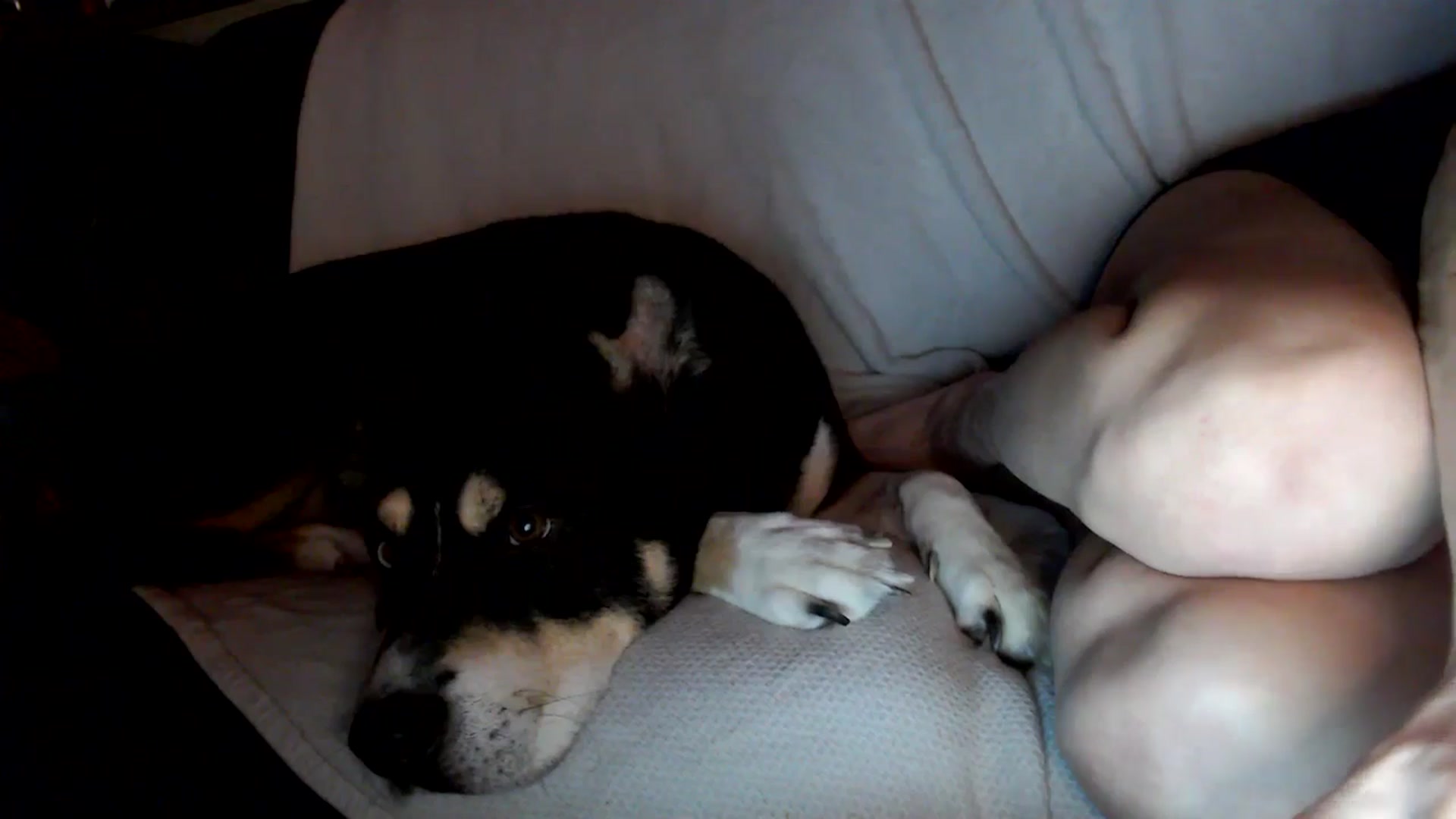 Gallery image thumbnail from HeidiKlumsy's myfreecams stream on, 12/21/2025, 03:00 image 20 of 20