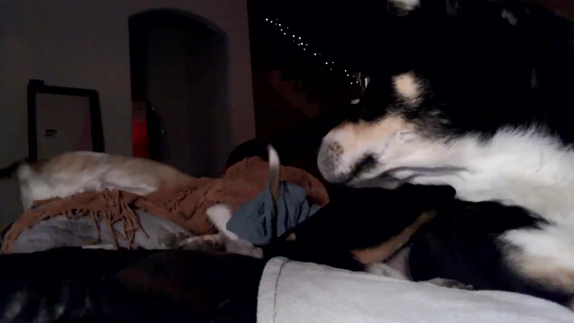 Gallery image thumbnail from HeidiKlumsy's myfreecams stream on, 12/21/2025, 03:00 image 8 of 20