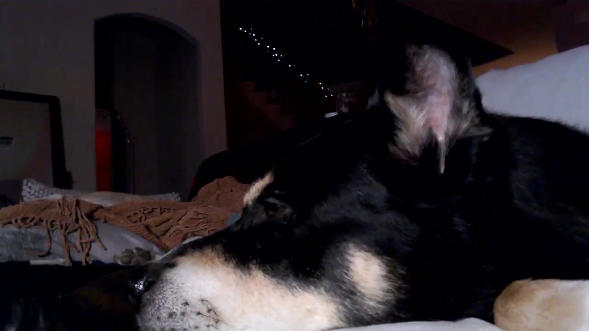 Gallery image thumbnail from HeidiKlumsy's myfreecams stream on, 12/21/2025, 03:00 image 9 of 20
