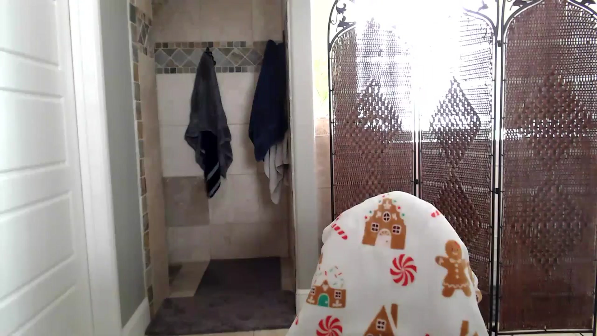 Gallery image thumbnail from HeidiKlumsy's myfreecams stream on, 12/31/2025, 21:18 image 16 of 20