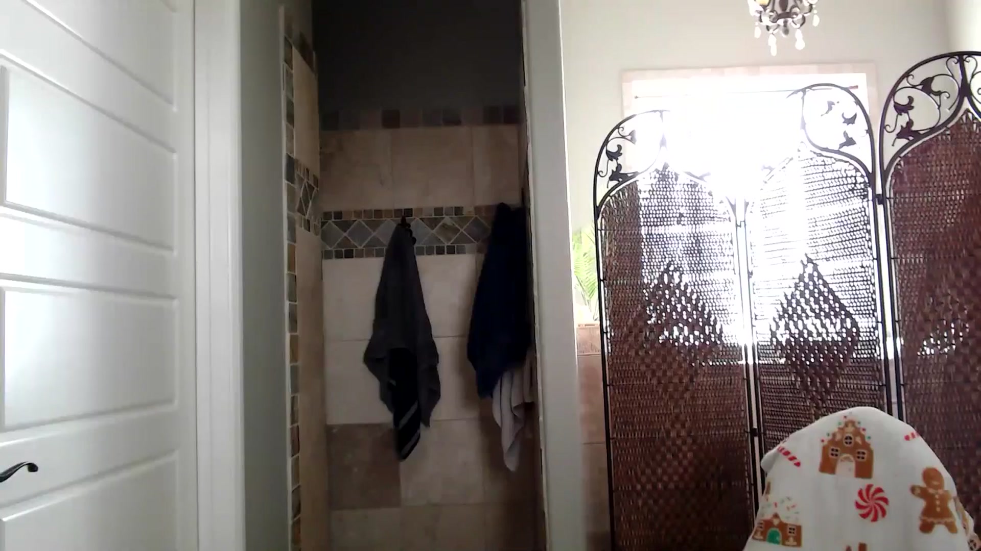 Gallery image thumbnail from HeidiKlumsy's myfreecams stream on, 12/31/2025, 21:18 image 19 of 20