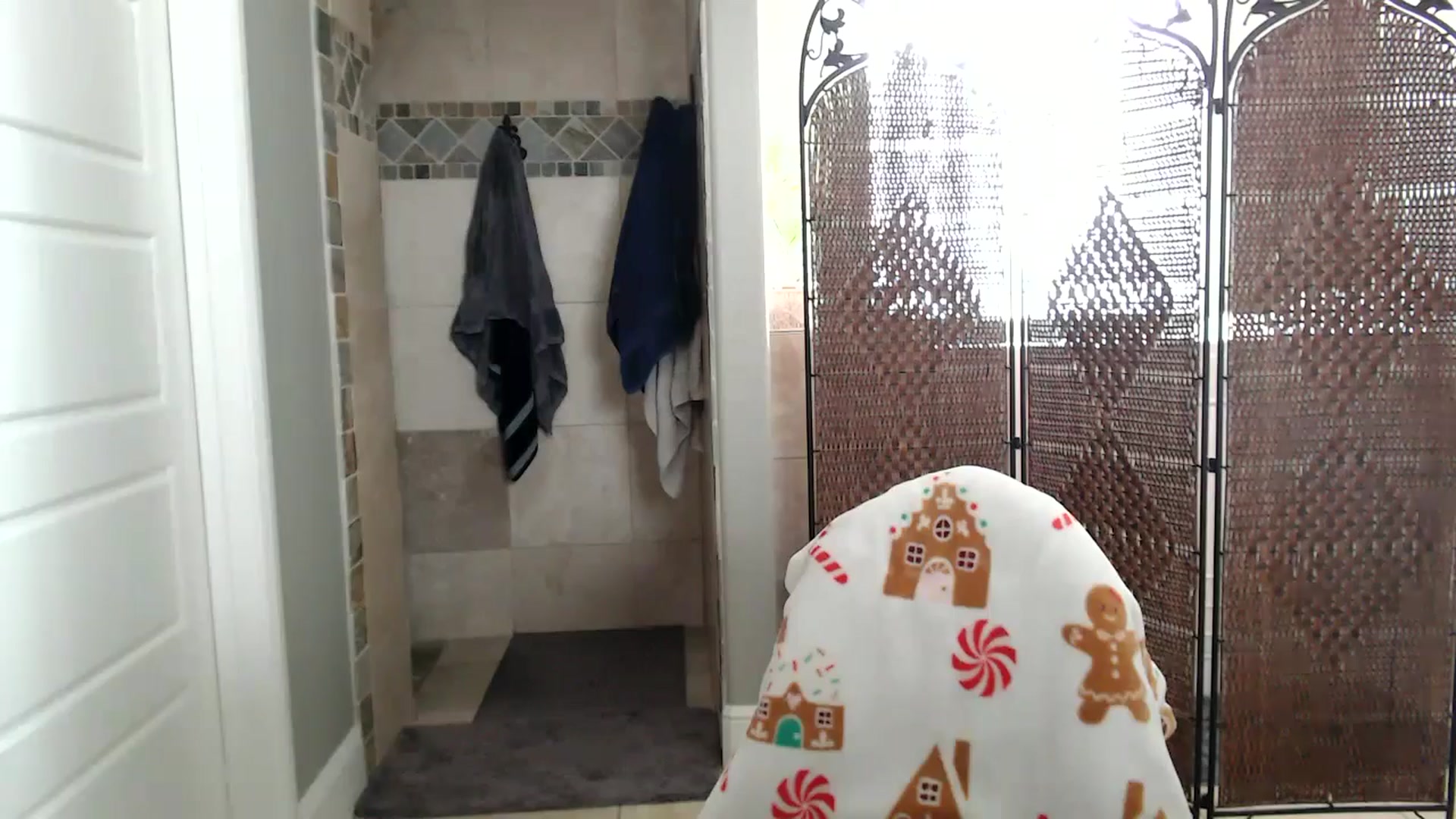 Gallery image thumbnail from HeidiKlumsy's myfreecams stream on, 12/31/2025, 21:18 image 15 of 20