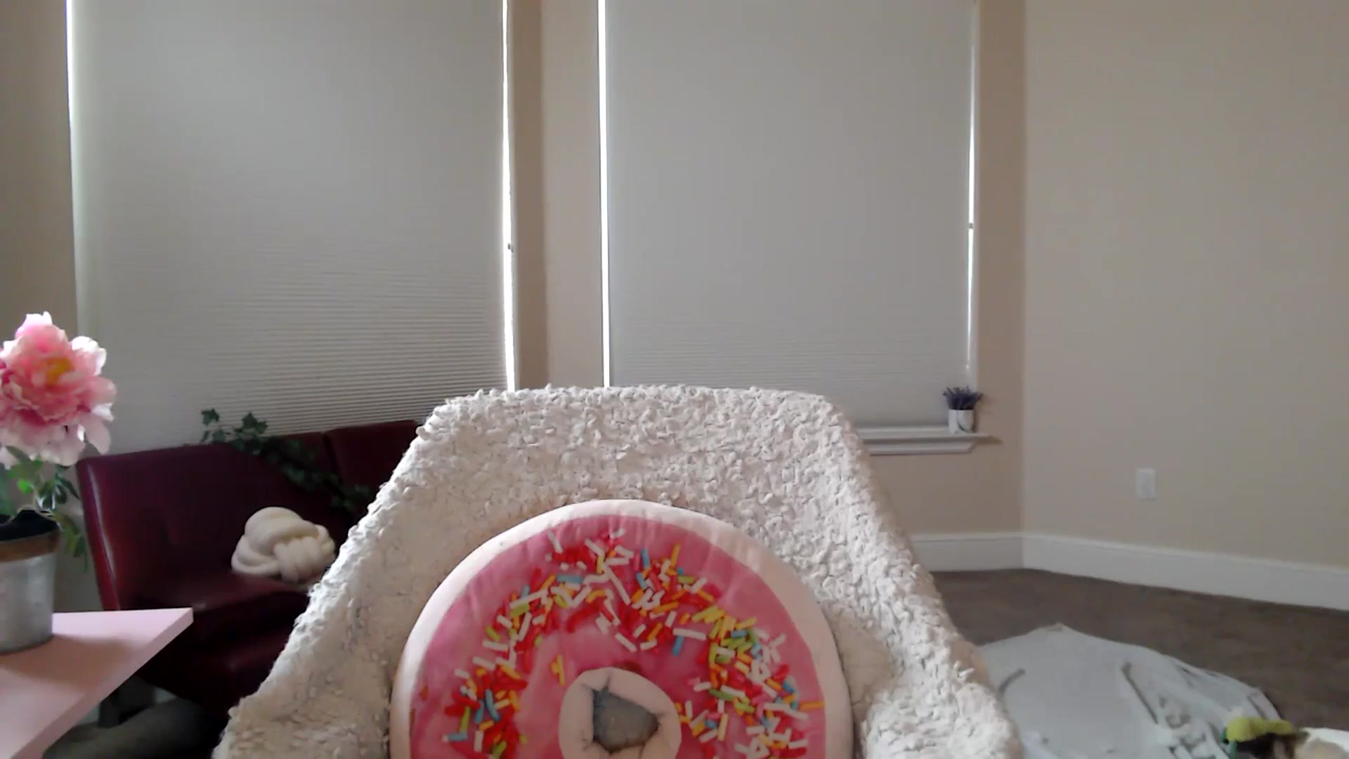 Gallery image thumbnail from HeidiKlumsy's myfreecams stream on, 01/02/2026, 20:39 image 16 of 20