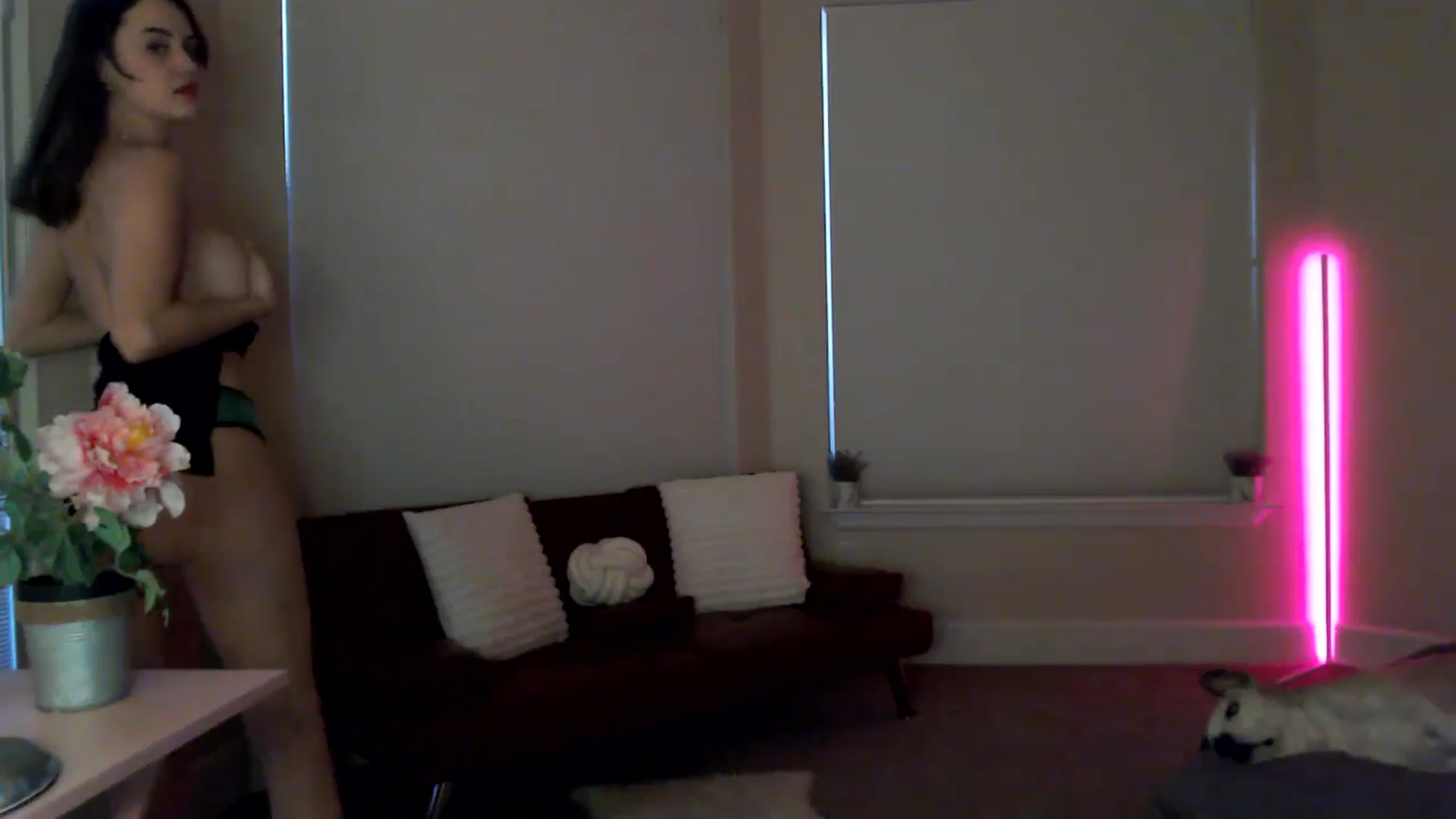 Gallery image thumbnail from HeidiKlumsy's myfreecams stream on, 01/06/2026, 23:57 image 5 of 20