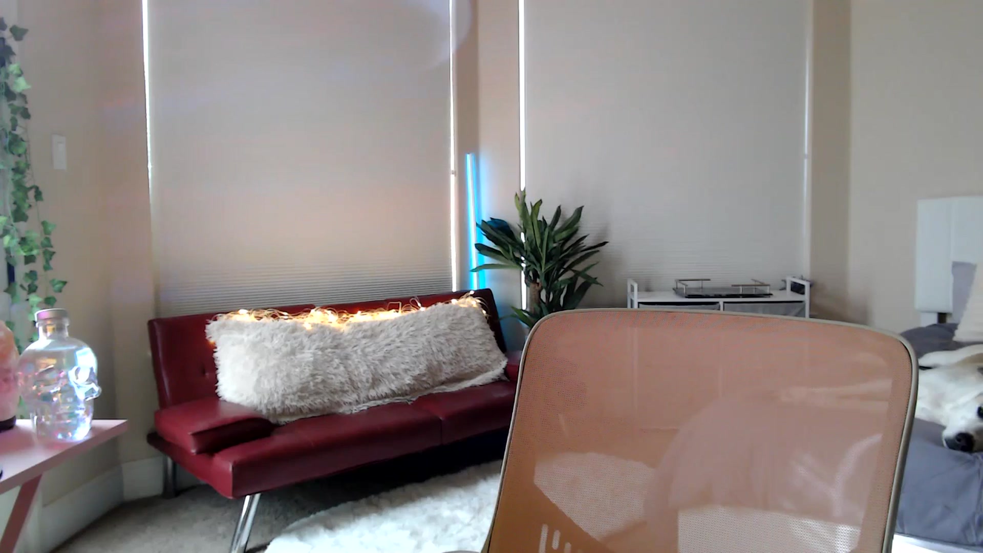 Gallery image thumbnail from HeidiKlumsy's myfreecams stream on, 01/21/2026, 20:00 image 18 of 20