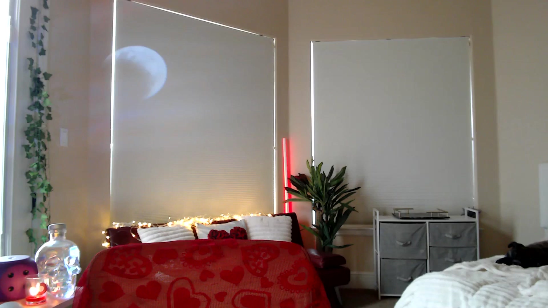 Gallery image thumbnail from HeidiKlumsy's myfreecams stream on, 02/03/2026, 20:21 image 12 of 20