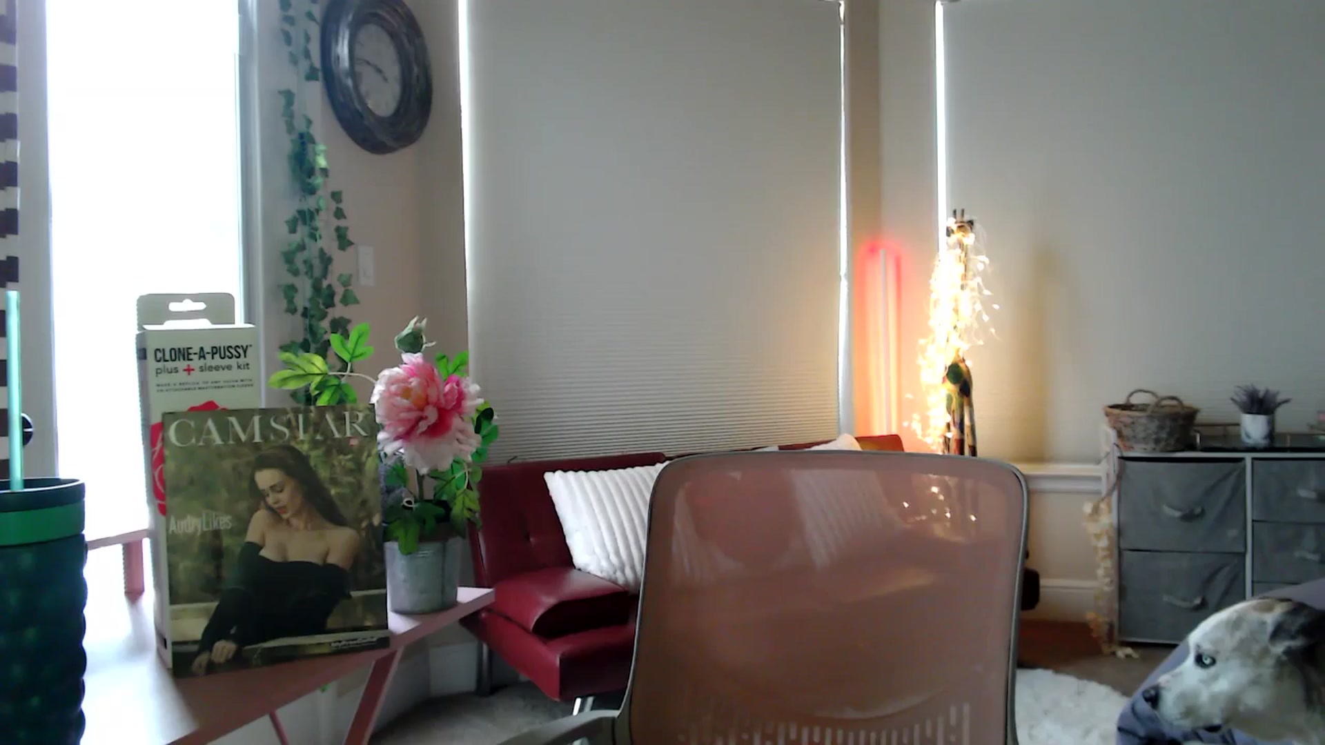 Gallery image thumbnail from HeidiKlumsy's myfreecams stream on, 03/02/2026, 23:07 image 12 of 20
