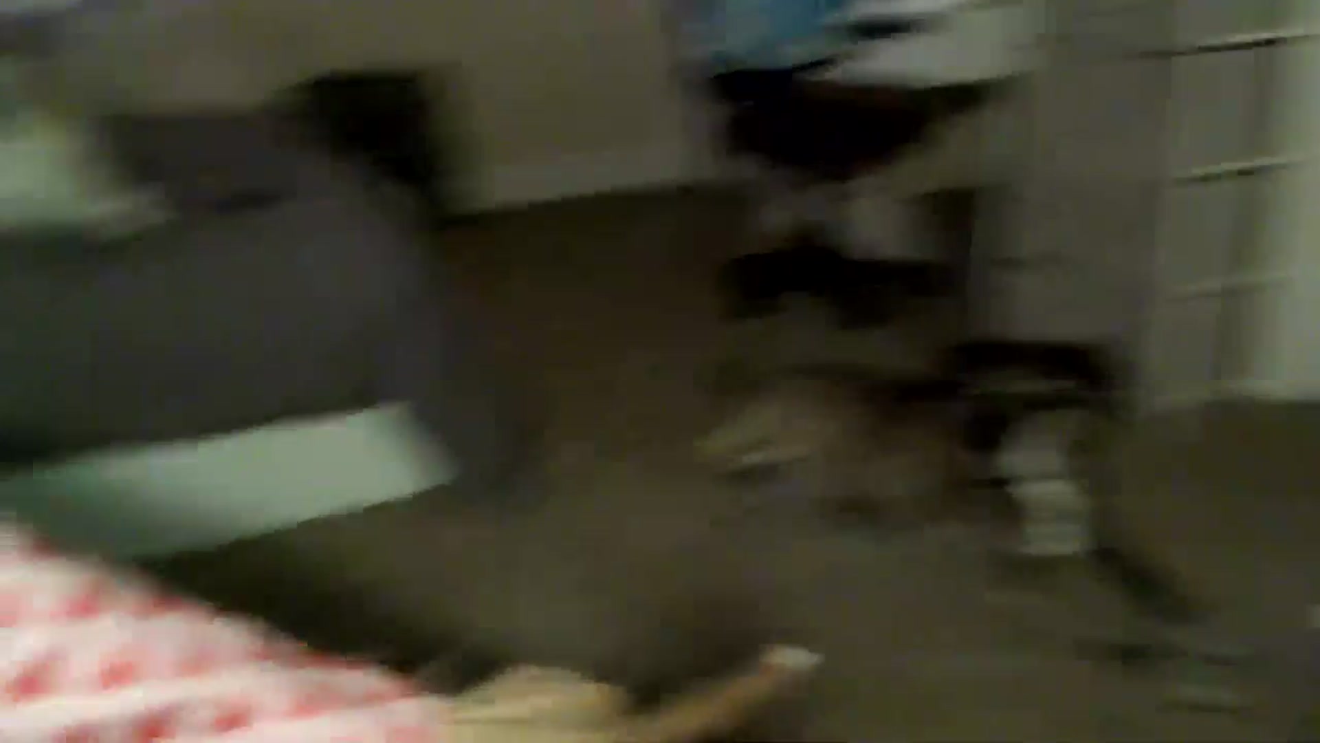 Gallery image thumbnail from HeidiKlumsy's myfreecams stream on, 03/04/2026, 05:40 image 9 of 20