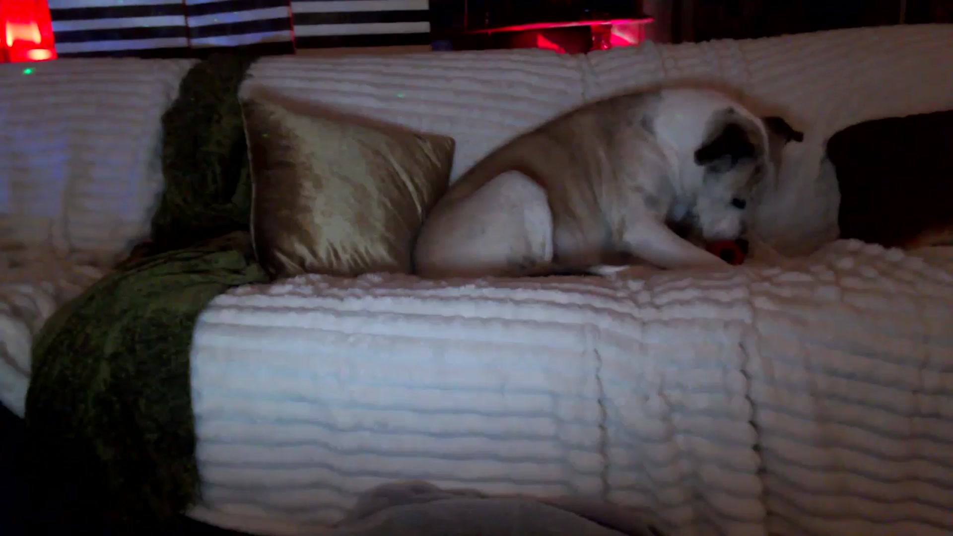 Gallery image thumbnail from HeidiKlumsy's myfreecams stream on, 03/06/2026, 06:22 image 3 of 20
