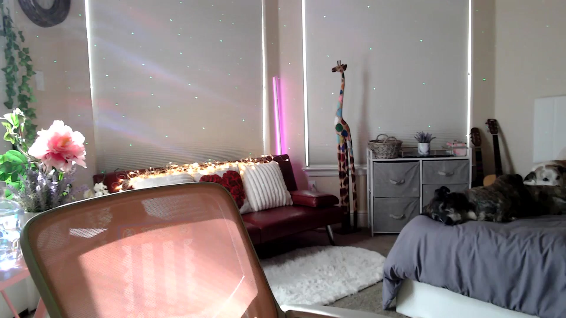 Gallery image thumbnail from HeidiKlumsy's myfreecams stream on, 03/11/2026, 22:20 image 7 of 20