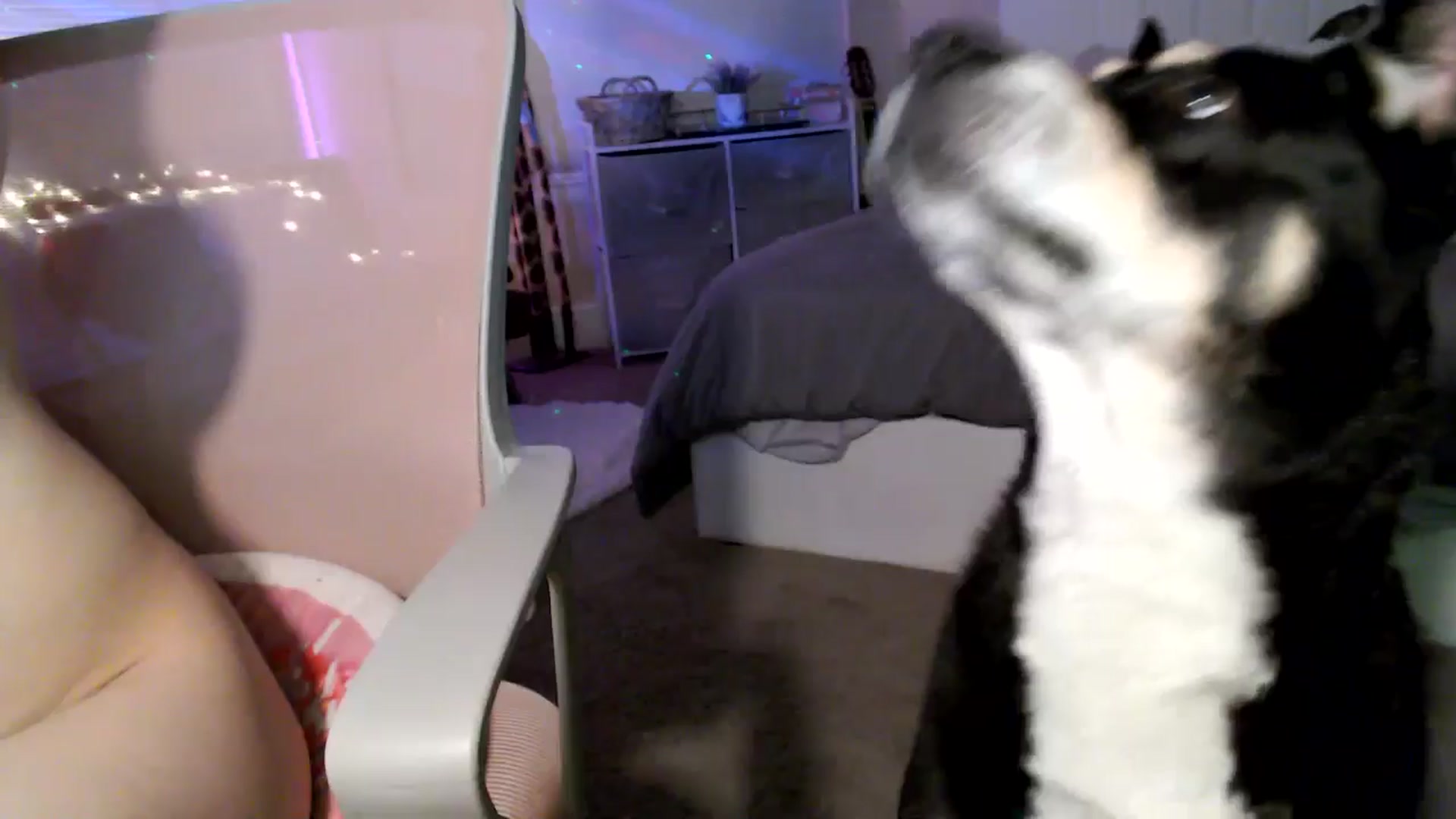Gallery image thumbnail from HeidiKlumsy's myfreecams stream on, 03/14/2026, 04:10 image 20 of 20
