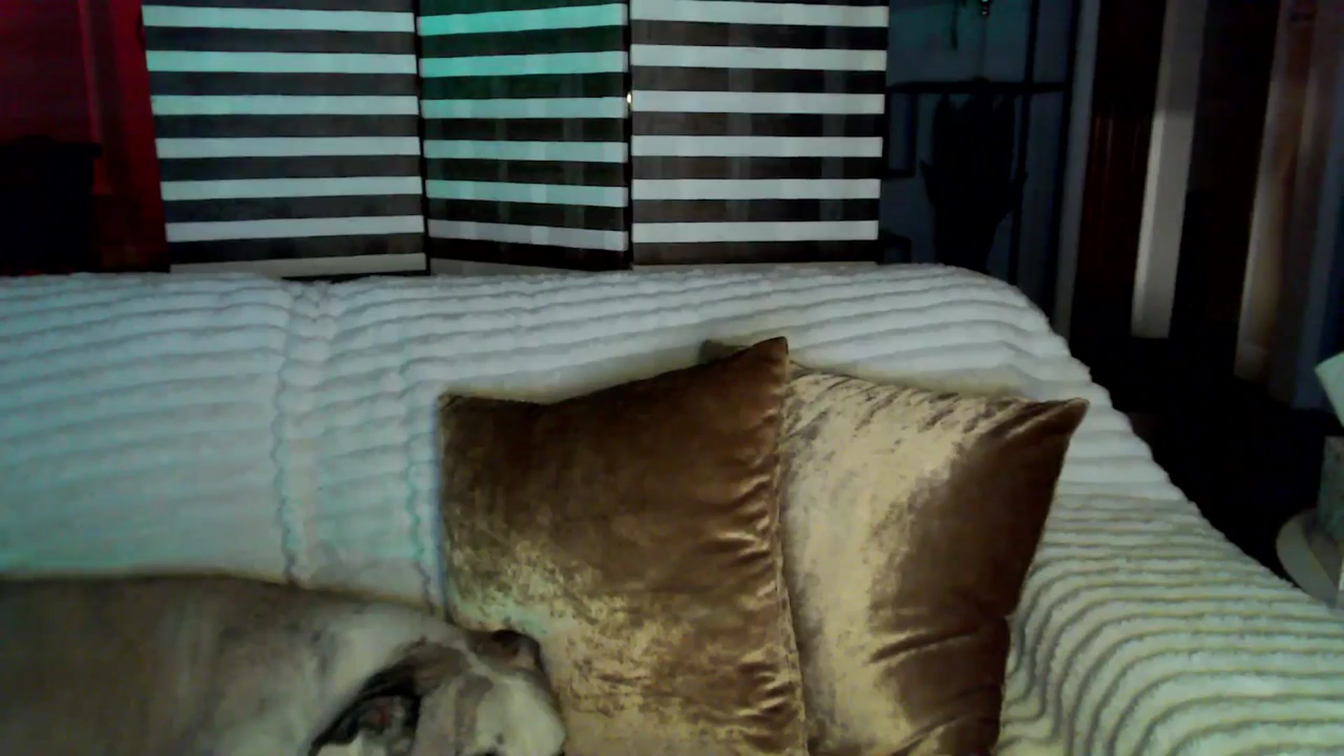 Gallery image thumbnail from HeidiKlumsy's myfreecams stream on, 04/01/2026, 05:27 image 11 of 20