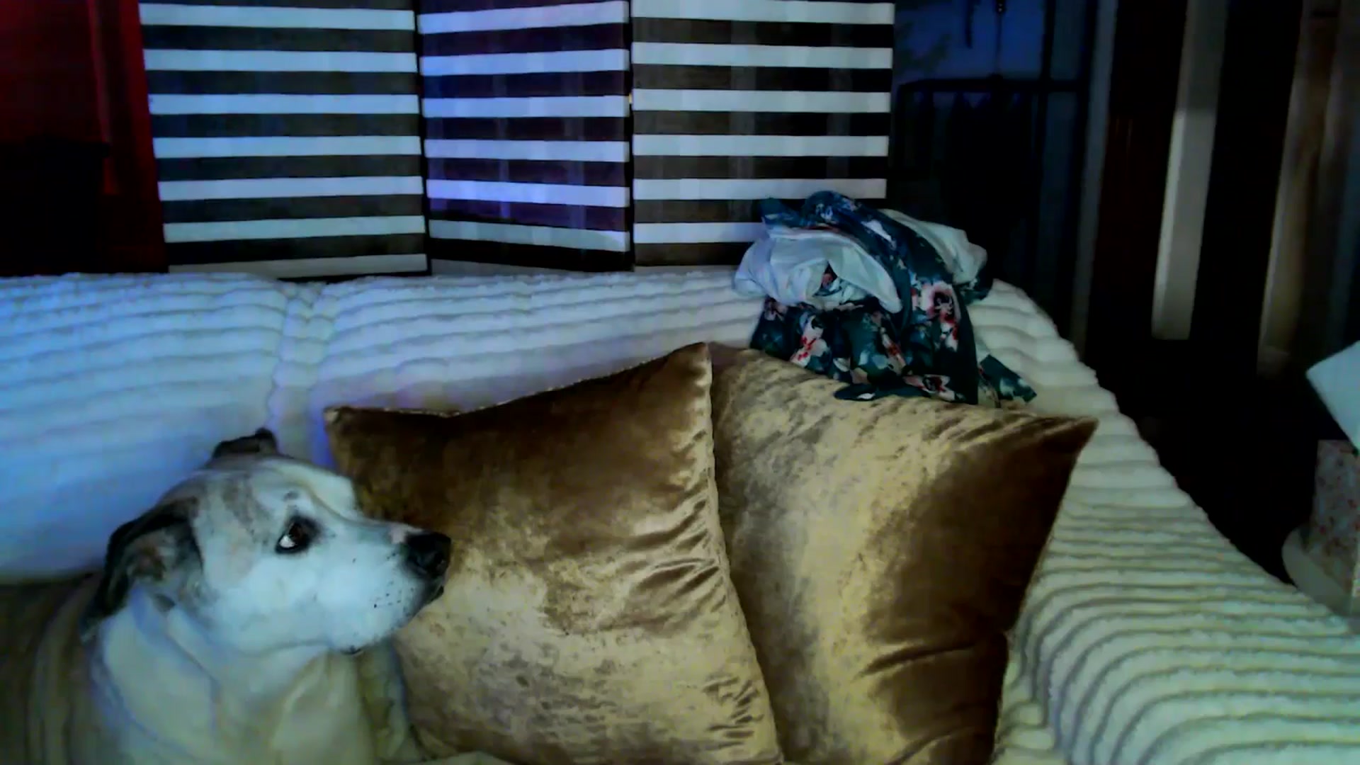 Gallery image thumbnail from HeidiKlumsy's myfreecams stream on, 04/01/2026, 05:27 image 16 of 20