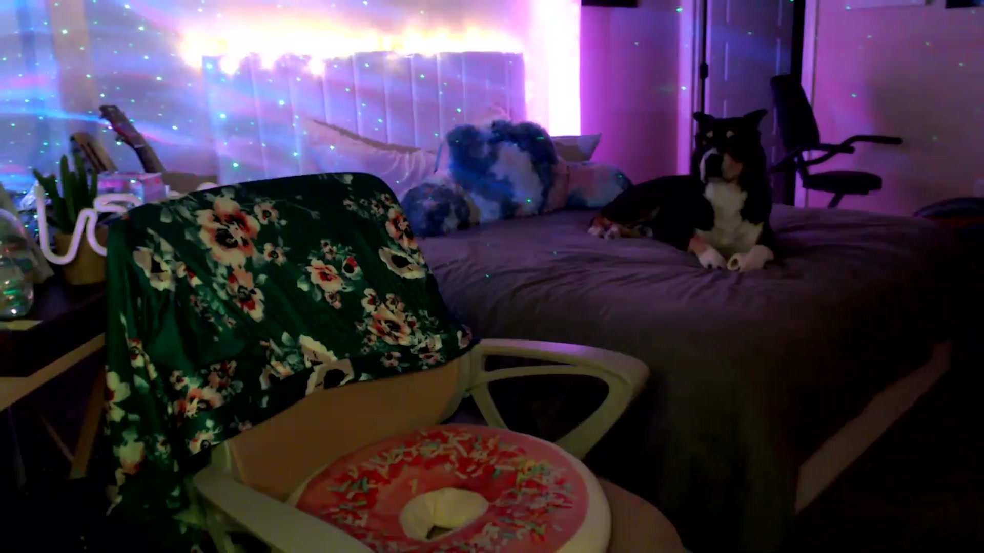 Gallery image thumbnail from HeidiKlumsy's myfreecams stream on, 04/07/2026, 02:43 image 20 of 20