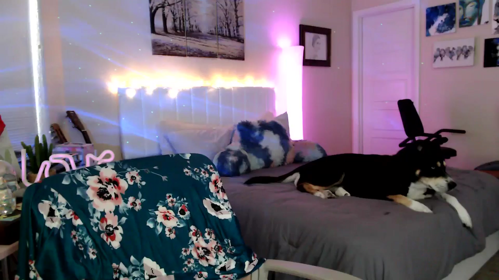 Gallery image thumbnail from HeidiKlumsy's myfreecams stream on, 04/07/2026, 23:31 image 1 of 20