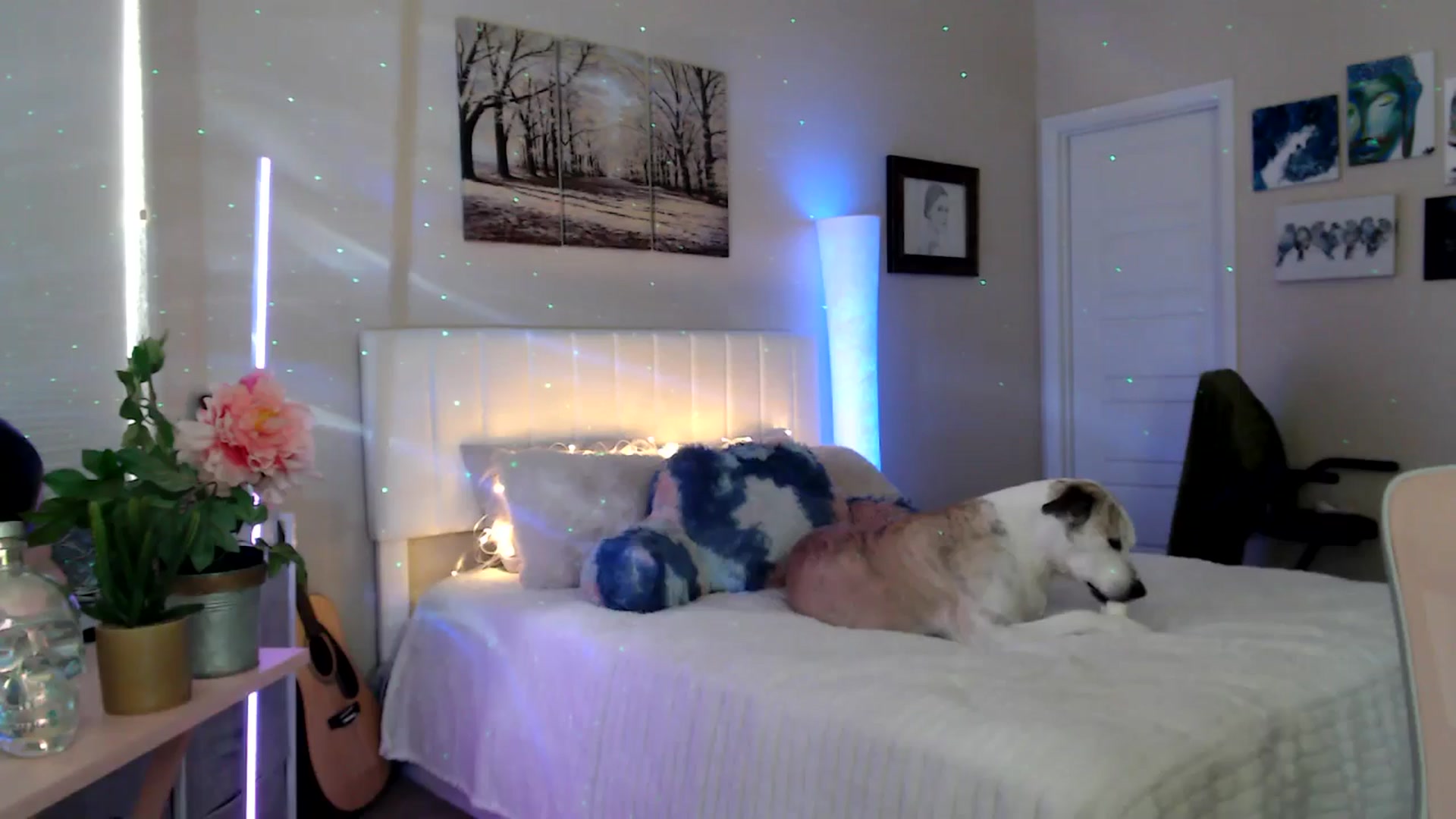 Gallery image thumbnail from HeidiKlumsy's myfreecams stream on, 04/16/2026, 22:17 image 8 of 20