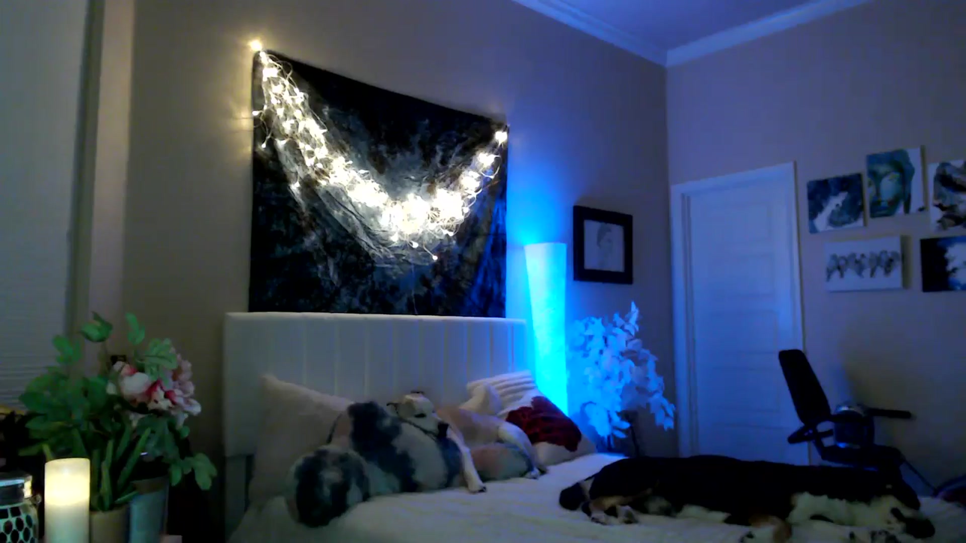 Gallery image thumbnail from HeidiKlumsy's myfreecams stream on, 04/21/2026, 04:37 image 20 of 20