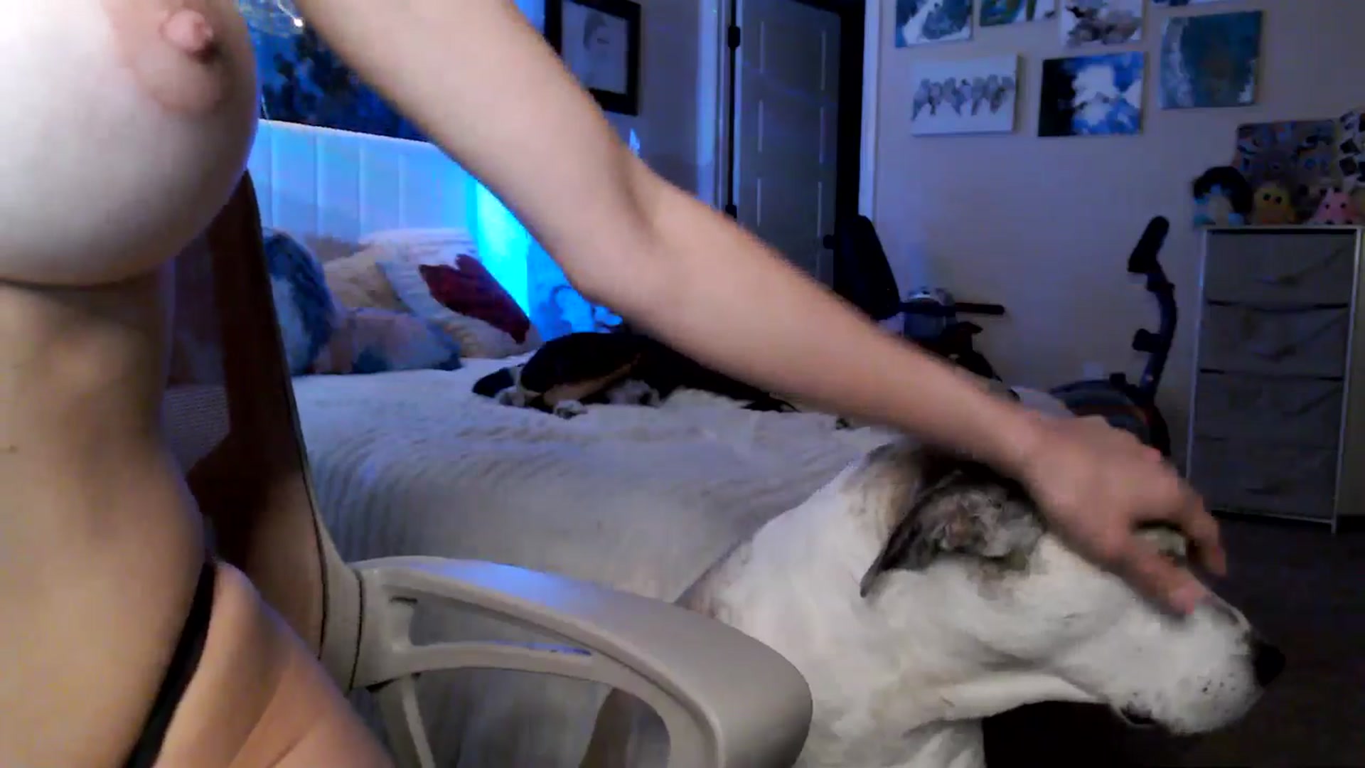 Gallery image thumbnail from HeidiKlumsy's myfreecams stream on, 04/21/2026, 04:37 image 13 of 20
