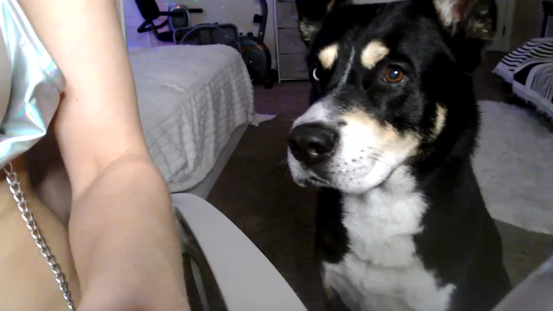 Gallery image thumbnail from HeidiKlumsy's myfreecams stream on, 04/22/2026, 05:00 image 9 of 20