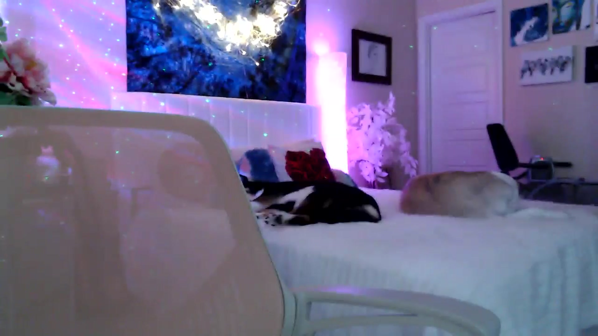 Gallery image thumbnail from HeidiKlumsy's myfreecams stream on, 04/22/2026, 21:23 image 8 of 20