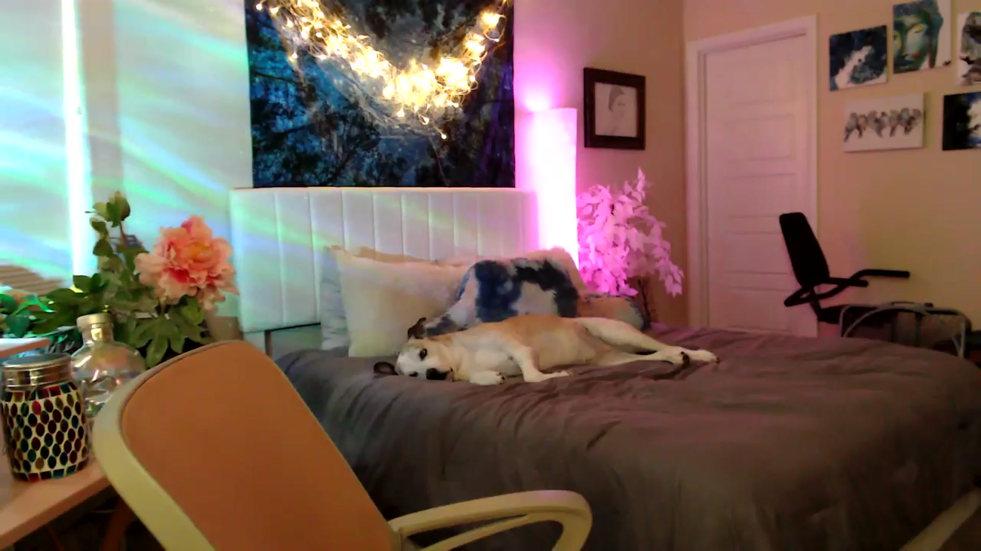 Gallery image thumbnail from HeidiKlumsy's myfreecams stream on, 04/28/2026, 24:03 image 18 of 20