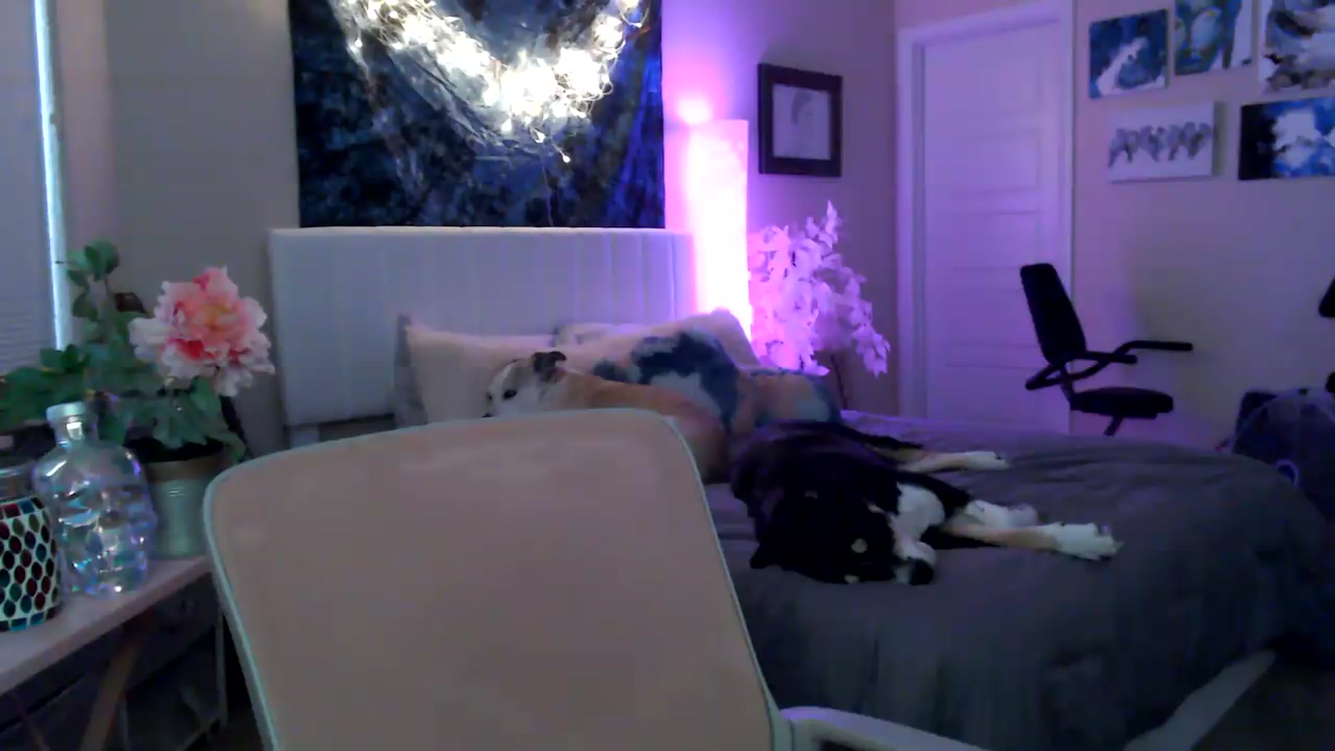 Gallery image thumbnail from HeidiKlumsy's myfreecams stream on, 04/28/2026, 20:14 image 6 of 20