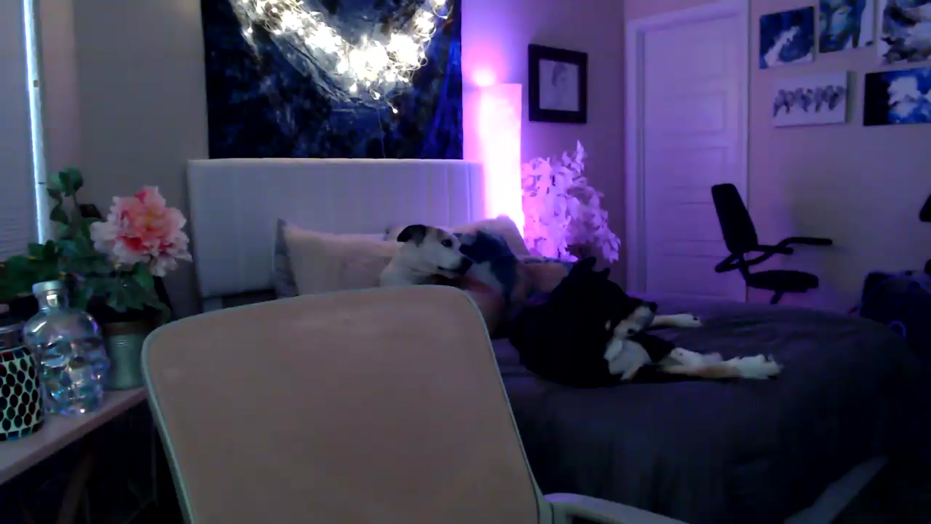 Gallery image thumbnail from HeidiKlumsy's myfreecams stream on, 04/28/2026, 20:14 image 7 of 20