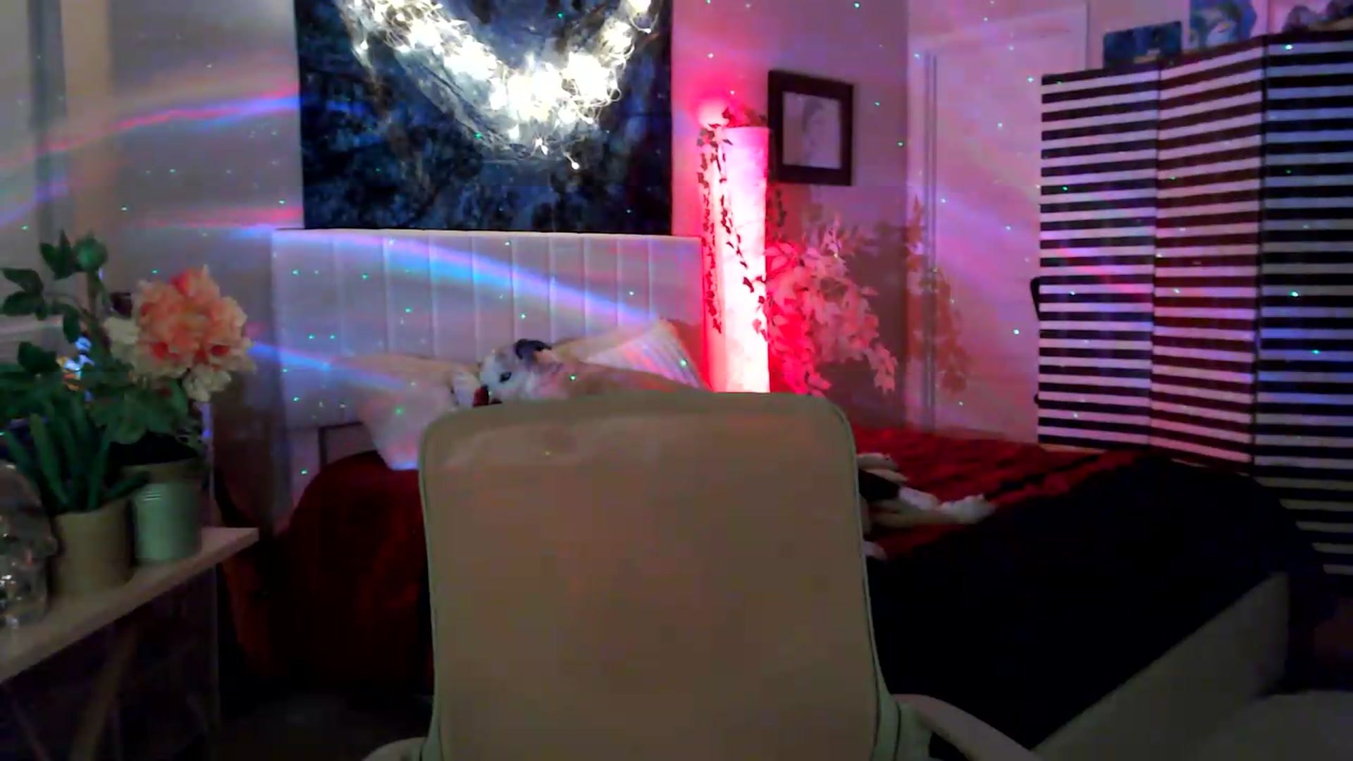 Gallery image thumbnail from HeidiKlumsy's myfreecams stream on, 05/16/2026, 03:35 image 12 of 20