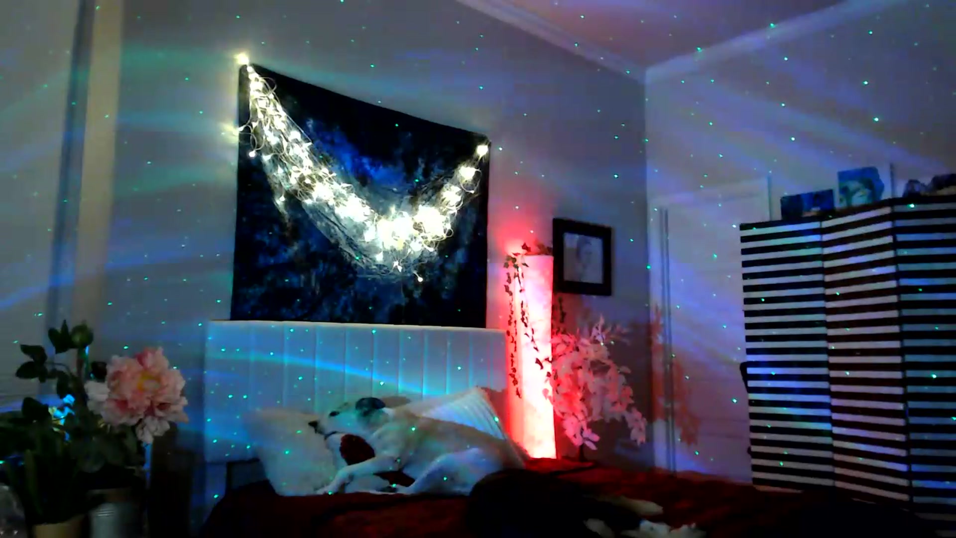 Gallery image thumbnail from HeidiKlumsy's myfreecams stream on, 05/16/2026, 03:35 image 3 of 20