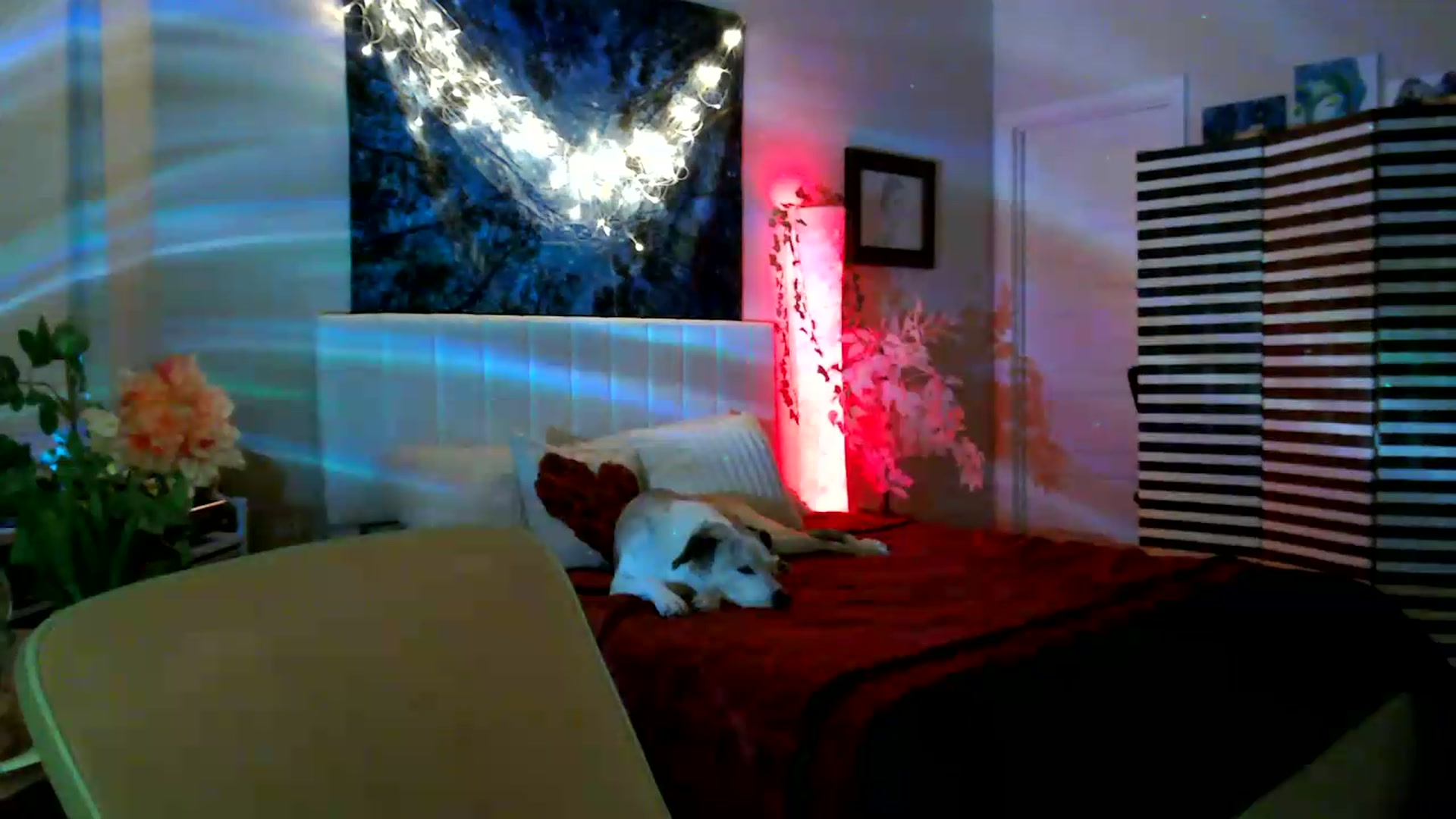 Gallery image thumbnail from HeidiKlumsy's myfreecams stream on, 05/16/2026, 07:08 image 6 of 20