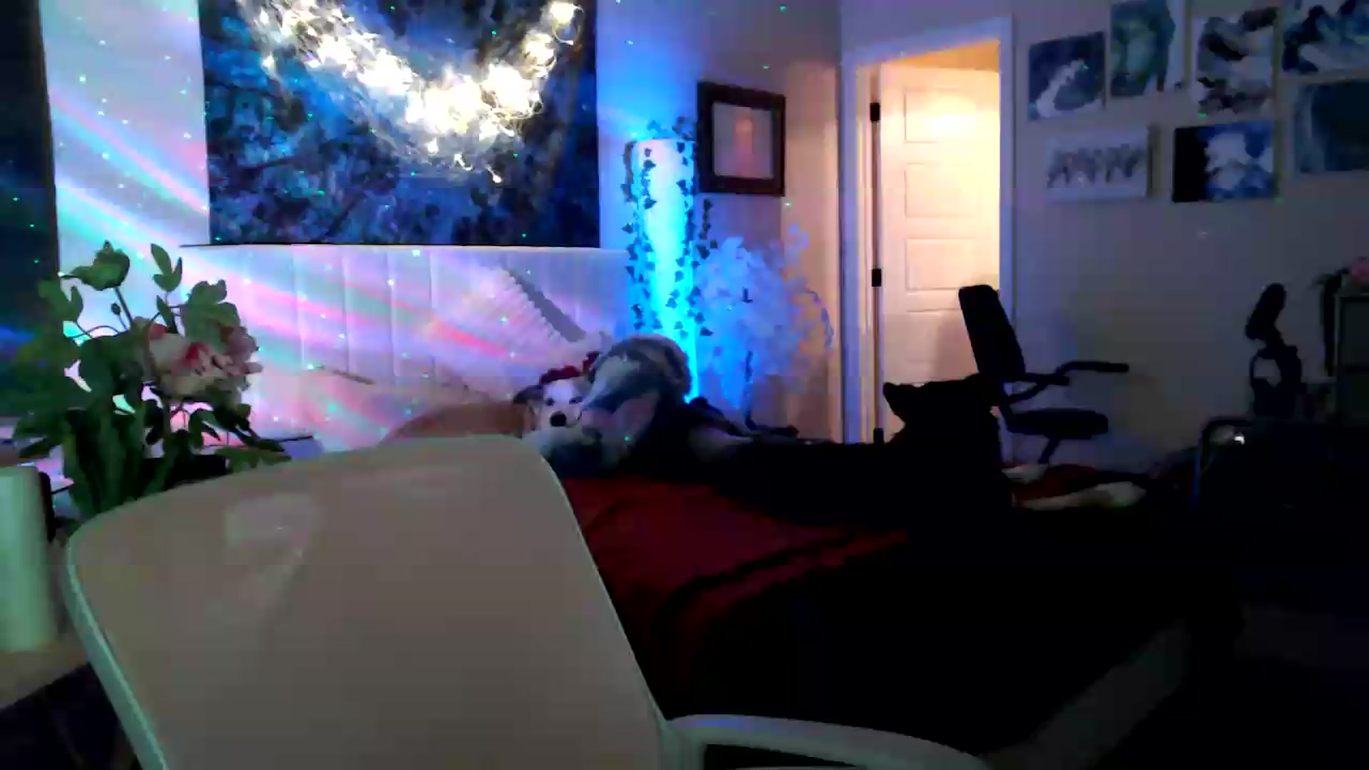 Gallery image thumbnail from HeidiKlumsy's myfreecams stream on, 05/30/2026, 06:03 image 13 of 20
