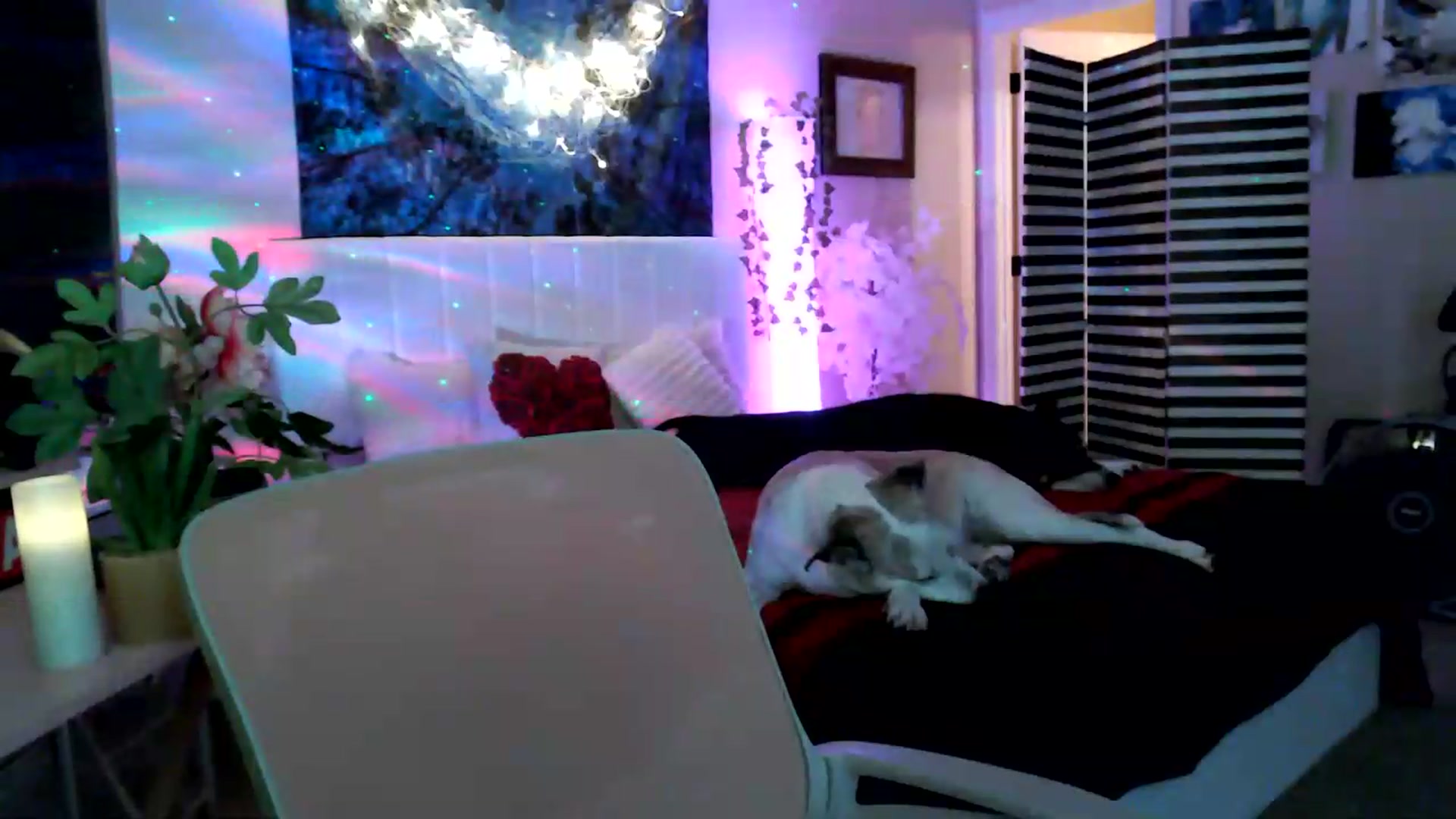 Gallery image thumbnail from HeidiKlumsy's myfreecams stream on, 06/02/2026, 24:23 image 9 of 20
