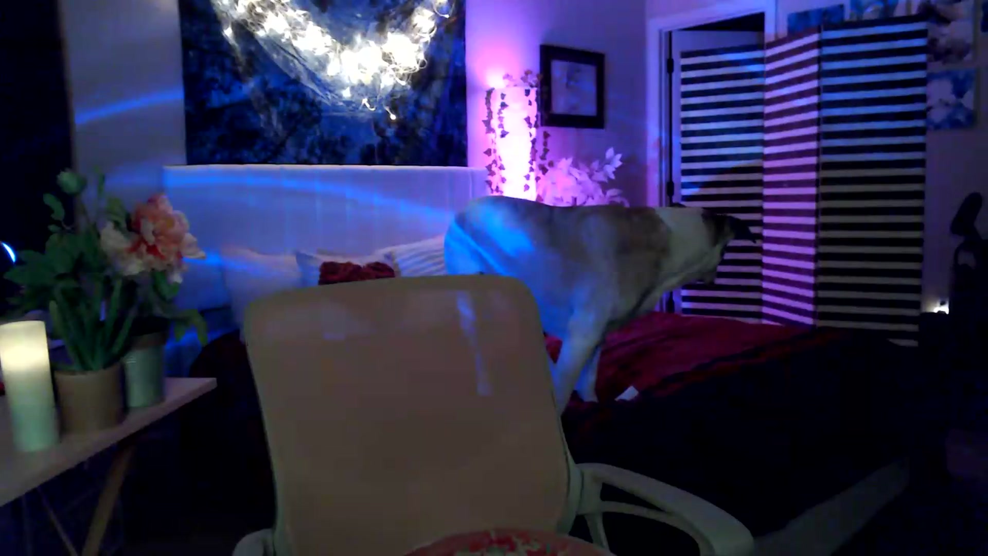 Gallery image thumbnail from HeidiKlumsy's myfreecams stream on, 06/02/2026, 04:04 image 14 of 20